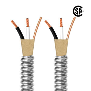 BX Cable
