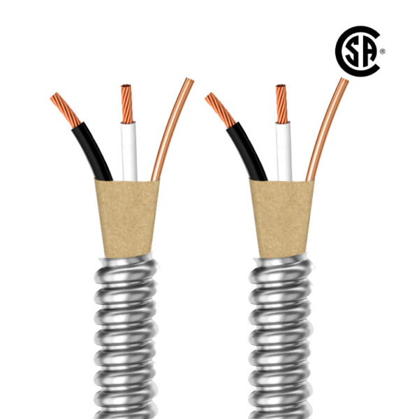 BX Cable