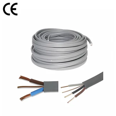 Twin and Earth Cable1