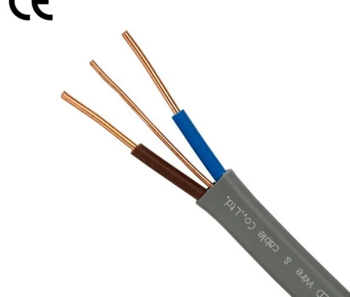 BS6004 Twin and Earth Cable