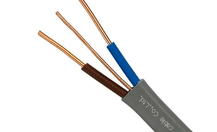 BS6004 Twin and Earth Cable